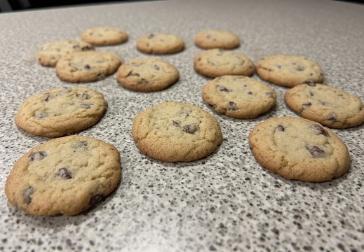 Twelve freshly baked chocolate chip cookies