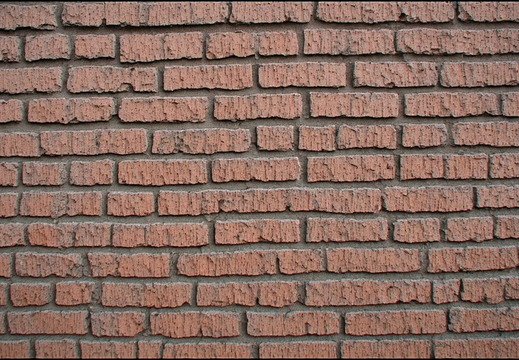 A wall of bricks with a reddish-brown hue