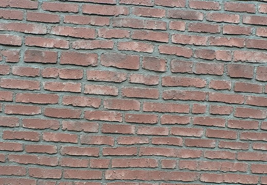 A close-up, detailed view of a brick wall.